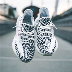 Meet your Posher, Daniela